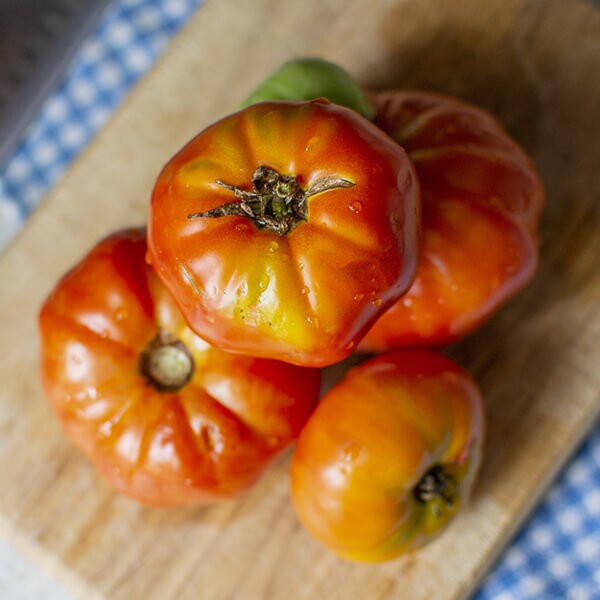 West Coast Seeds Beefsteak Tomato